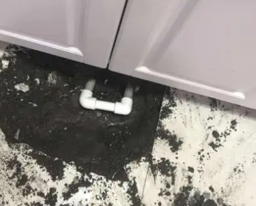 金牛查漏水哪家好